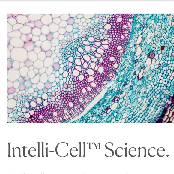 Regenerative Eye Gel INTELLIGENT NUTRIENTS - Picture 6 of 9